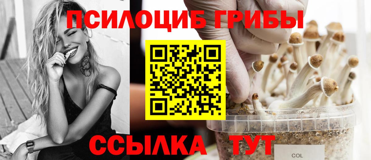 Псилоцибиновые грибы MAGIC MUSHROOMS Батайск